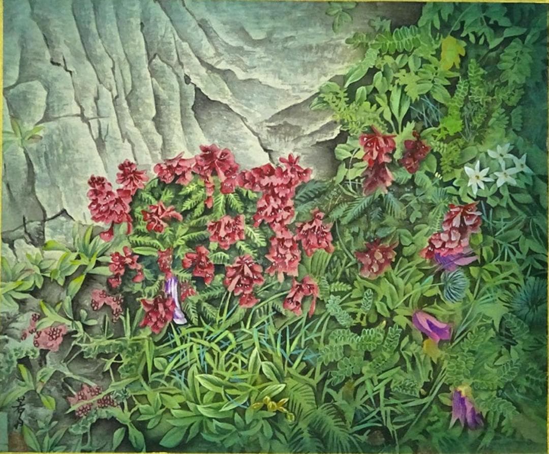 掛軸 若舟『山草図 タカネシオガマ』日本画手描き表装 絹本 箱付 a062811