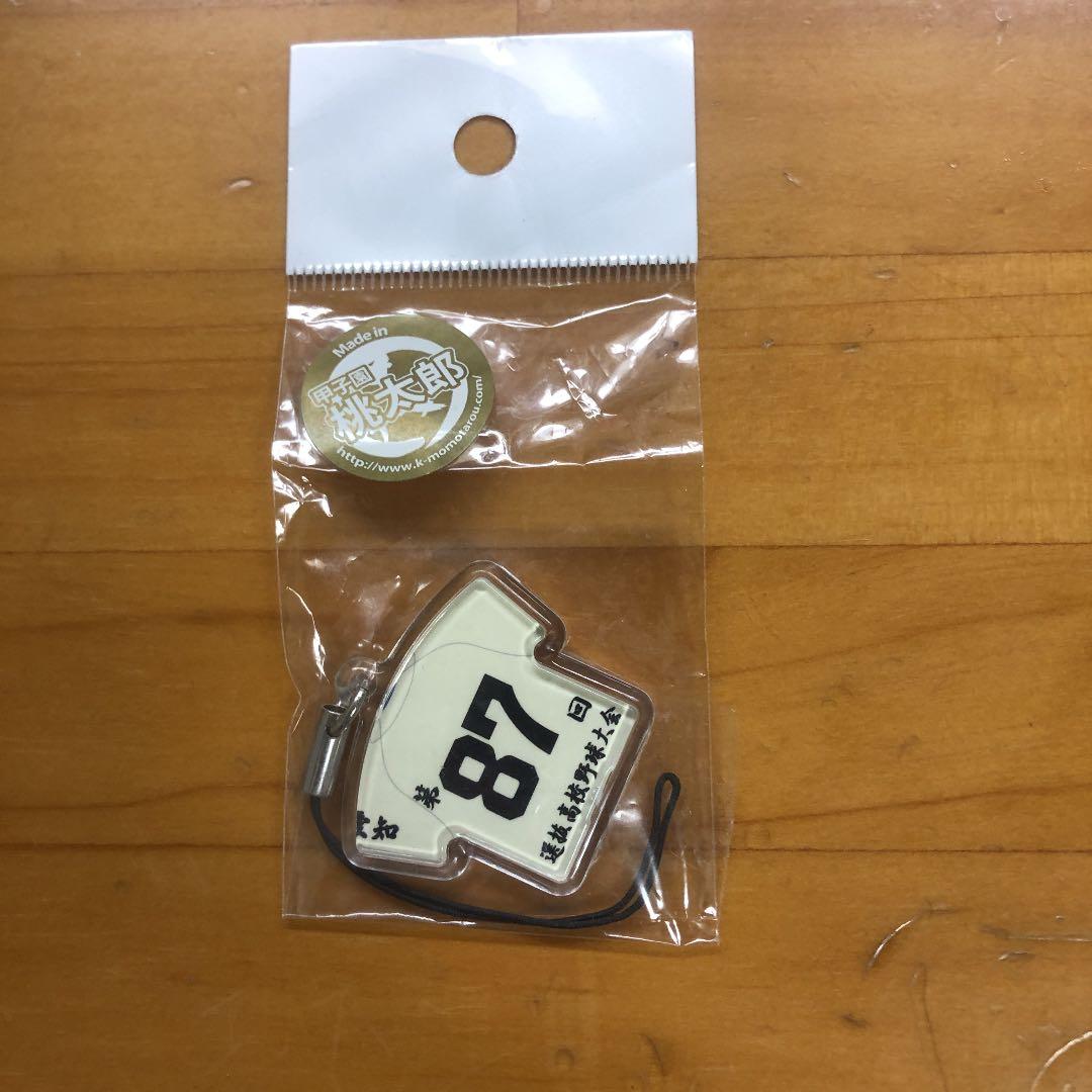 甲子園桃太郎  豊橋工業高校