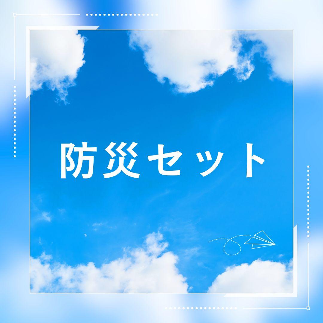 20個セット​【31点】持ち歩ける防災セット A4ポーチ入り 会社・車・学校用