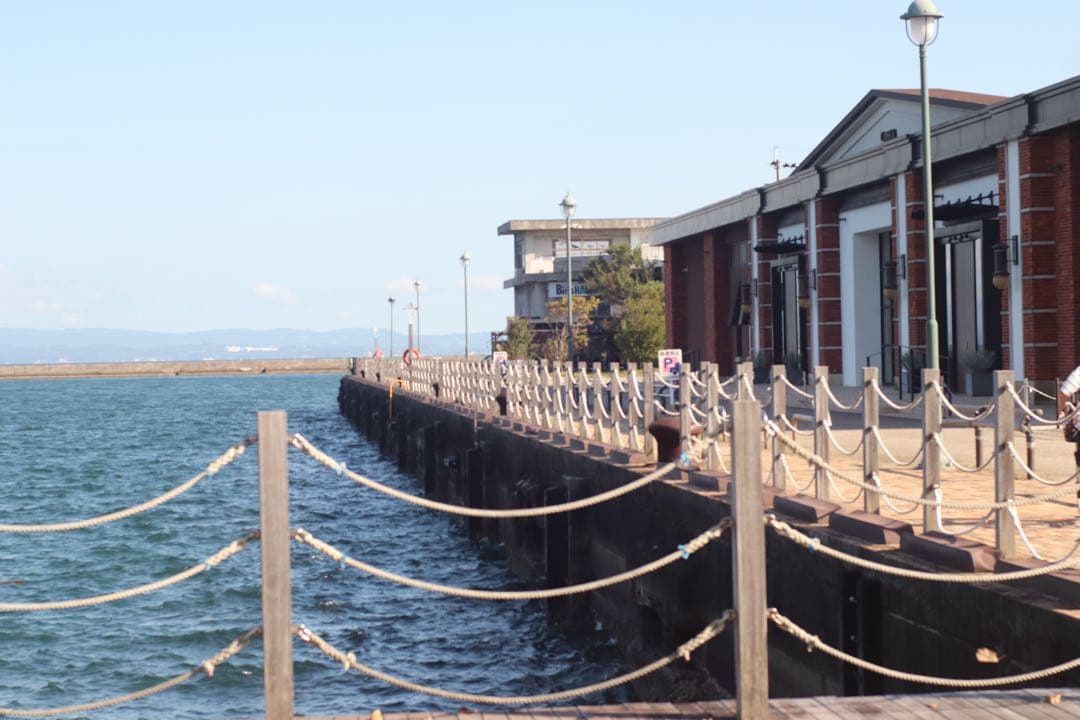 ★ OLYMPUS OM-1 (革ケース付) + ★ 標準50mm F1.4