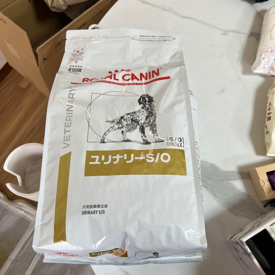 ドッグフード  CANIN