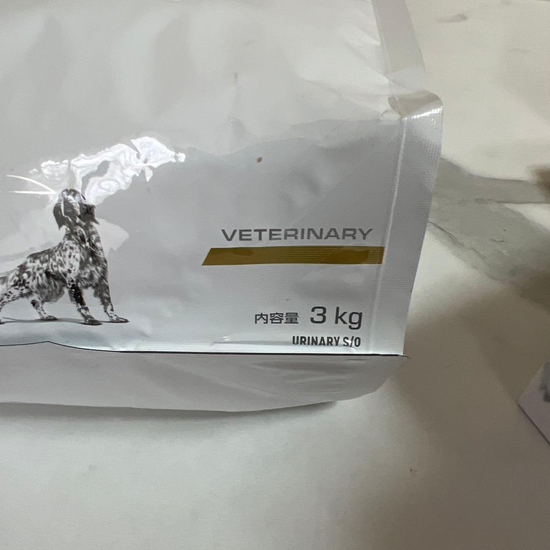 ドッグフード  CANIN