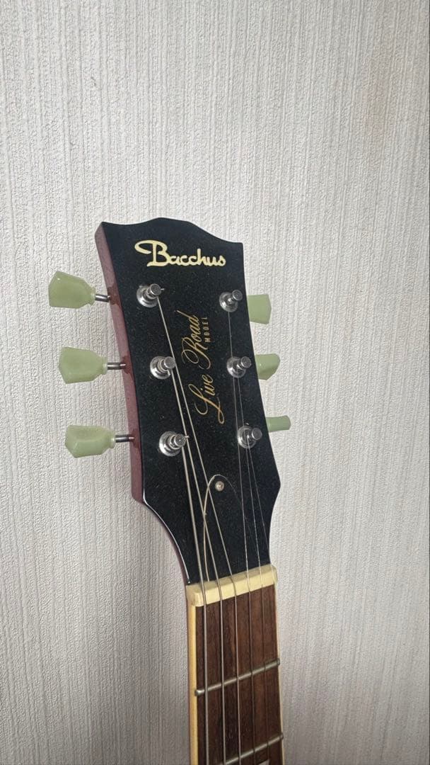 Bacchus バッカス エレキギター レスポール ソフトケース付き✨