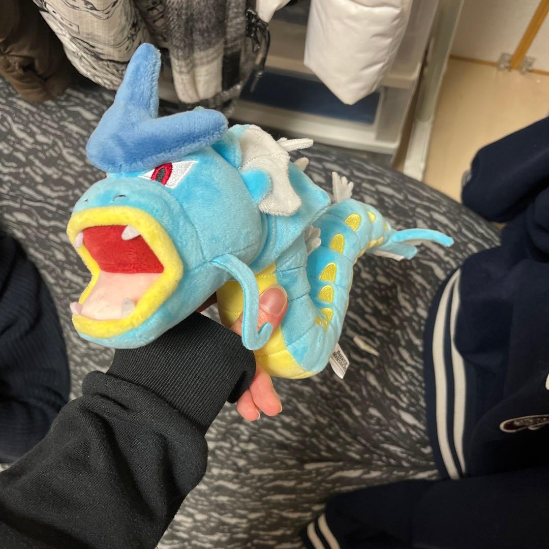 俺があげたギャラドス