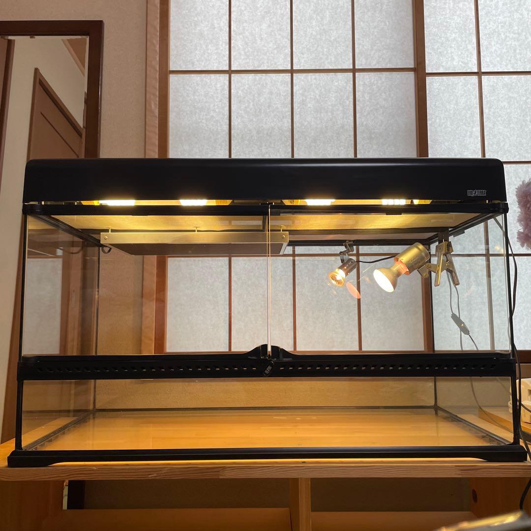 knskさん専用 グラステラリウムは、付属されません。 爬虫類ライト等　一式