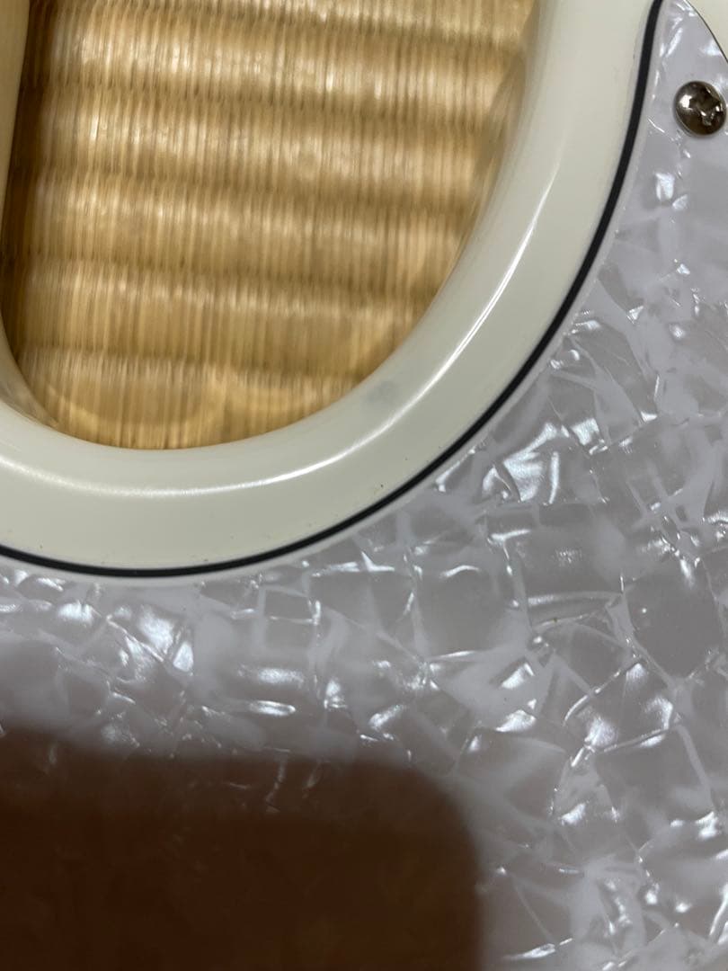 廃盤Bacchus WJB330M SW