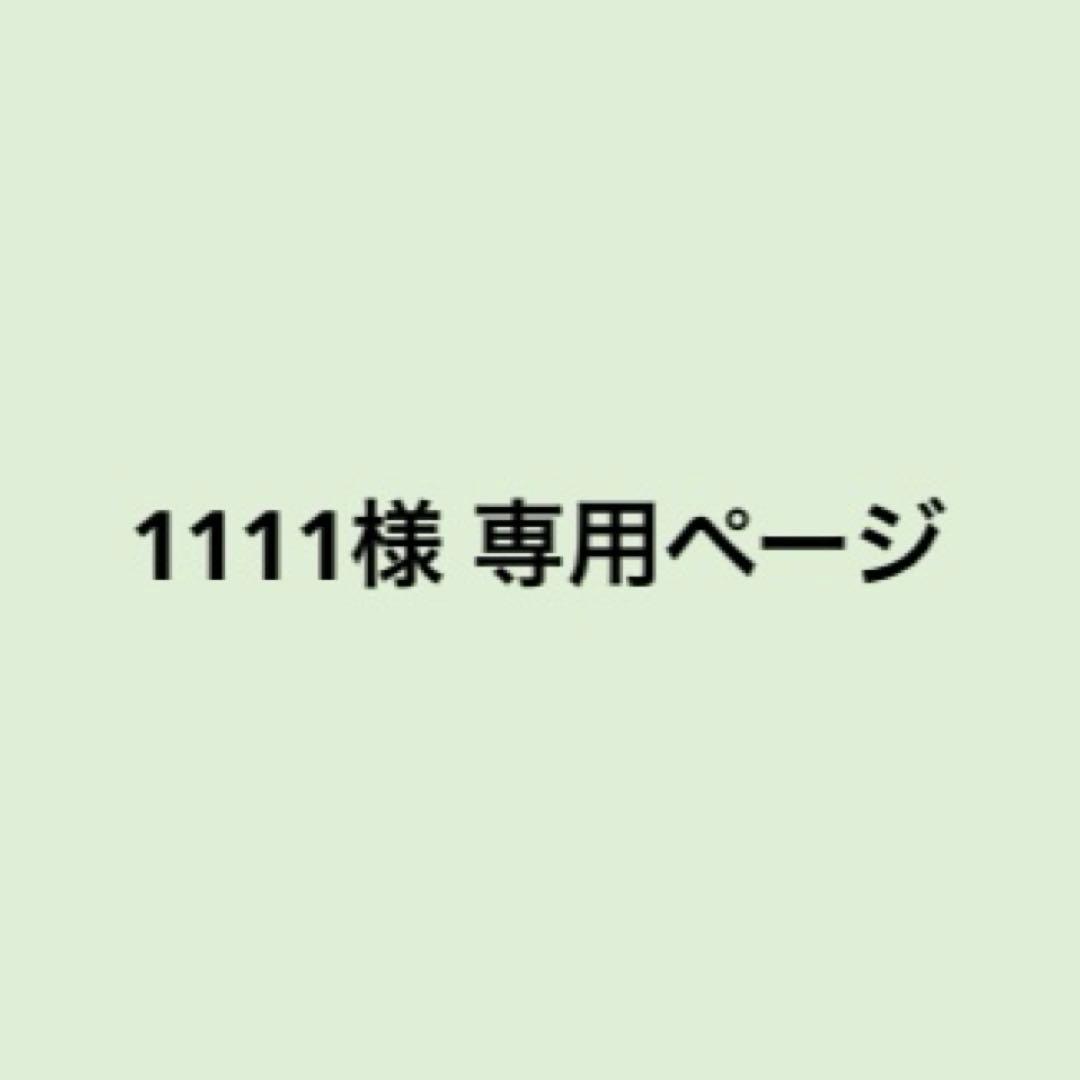 1111ページ