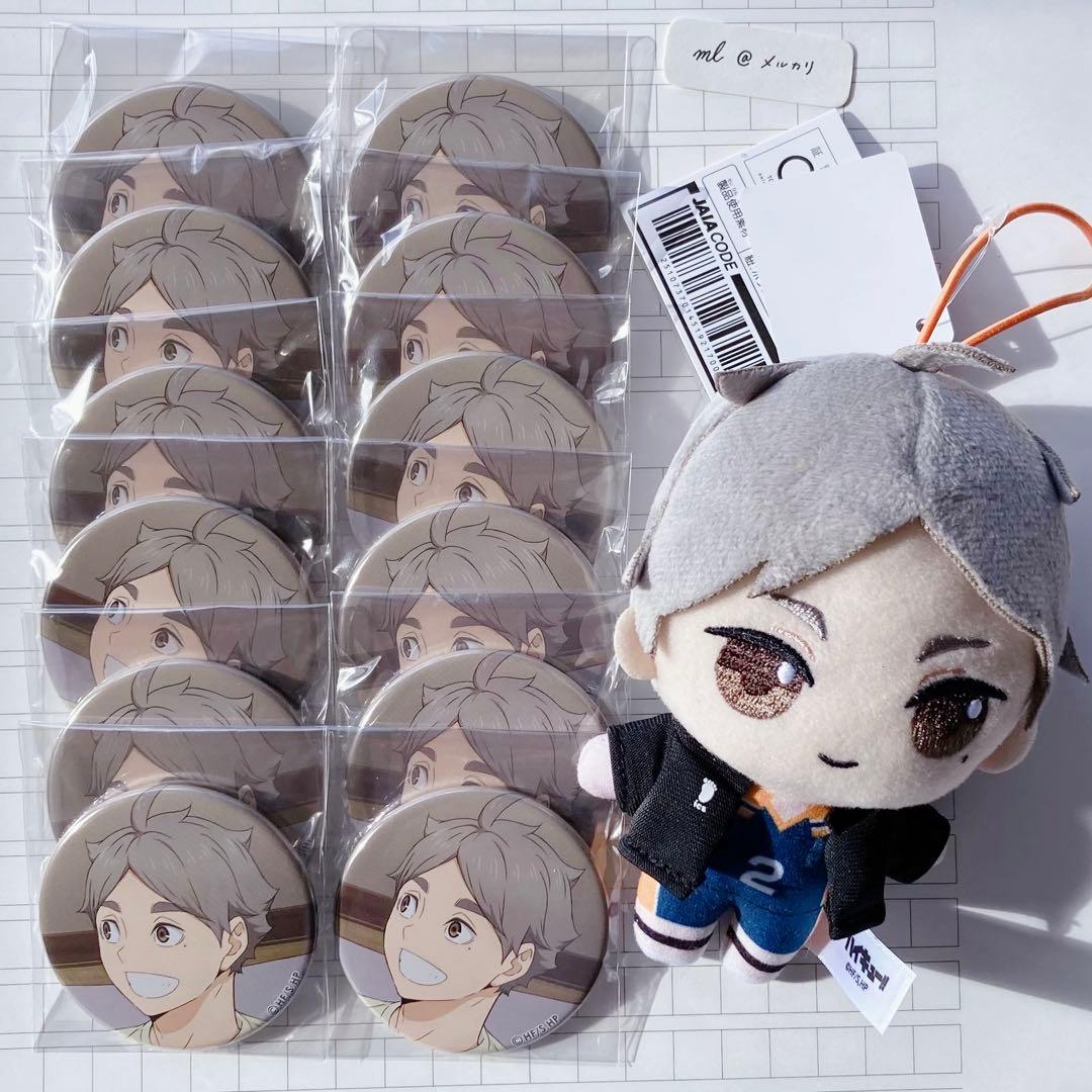 ハイキュー 菅原孝支 缶バッジ ぬいぐるみ セット