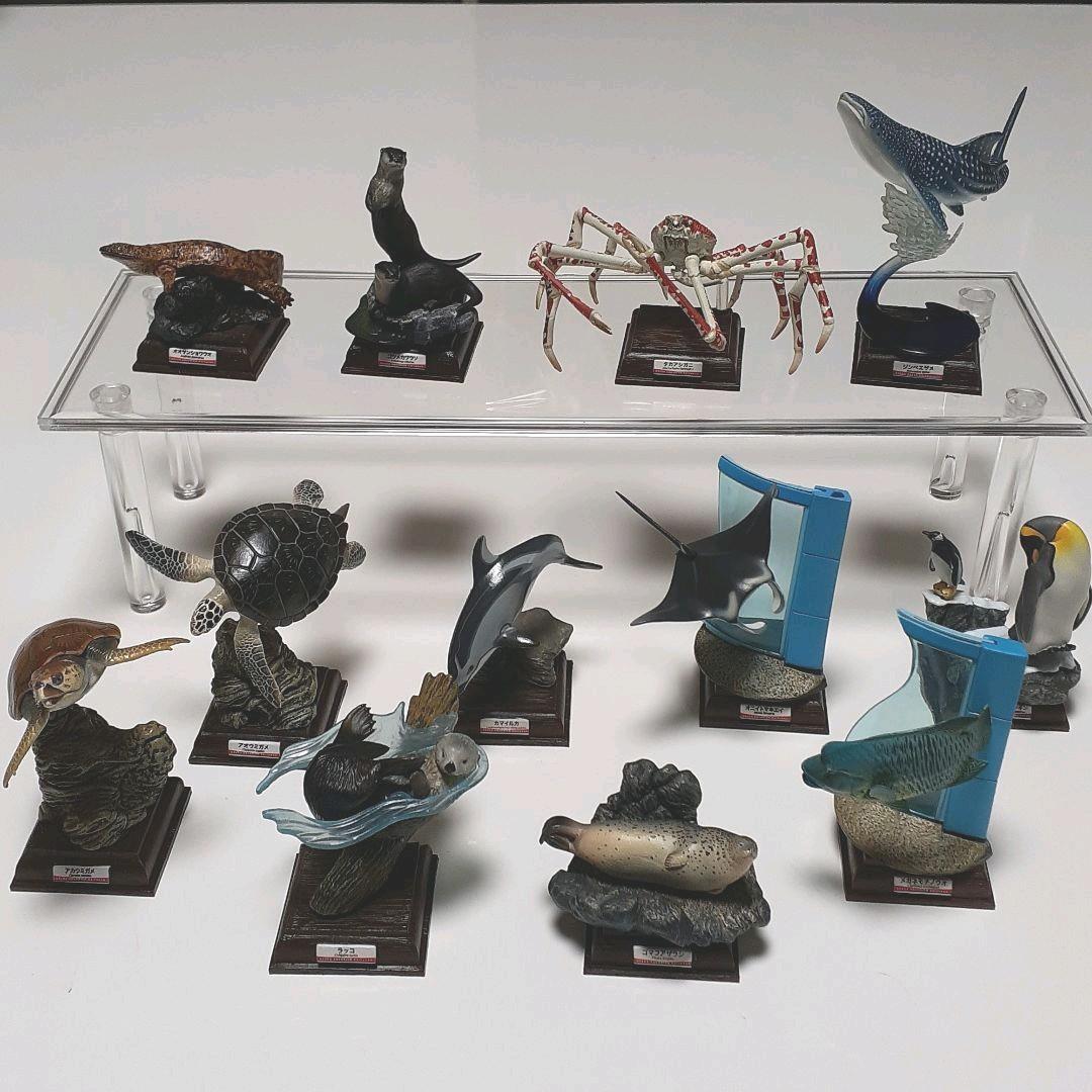 フィギュア　海遊館ミュージアム(全12種)コンプリート