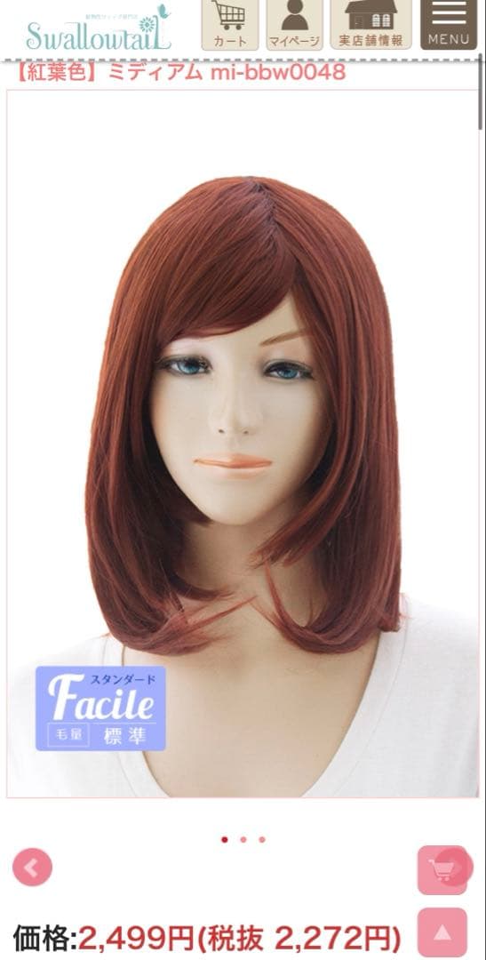 ひらのらひ様 オーダーウィッグ 《花京院典明》