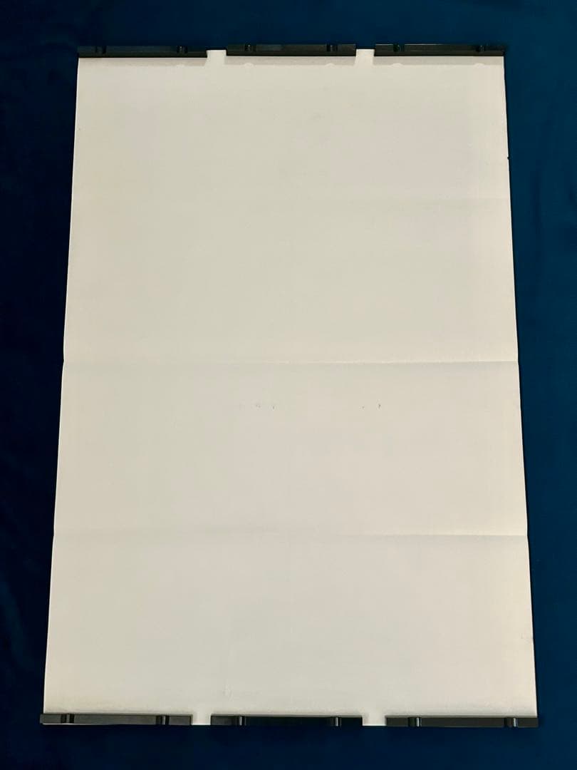 ディヴァイン・マッドネス　USオリジナル映画ポスター