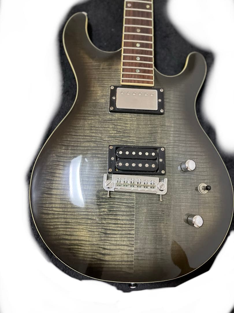 chatting bird エレキギター