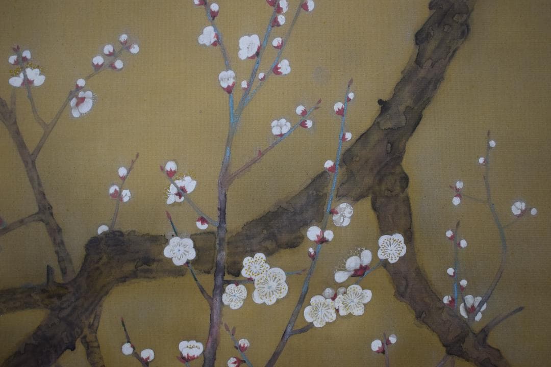 【模写】土田麦僊/梅花鳩之図/掛軸☆宝船☆X-632