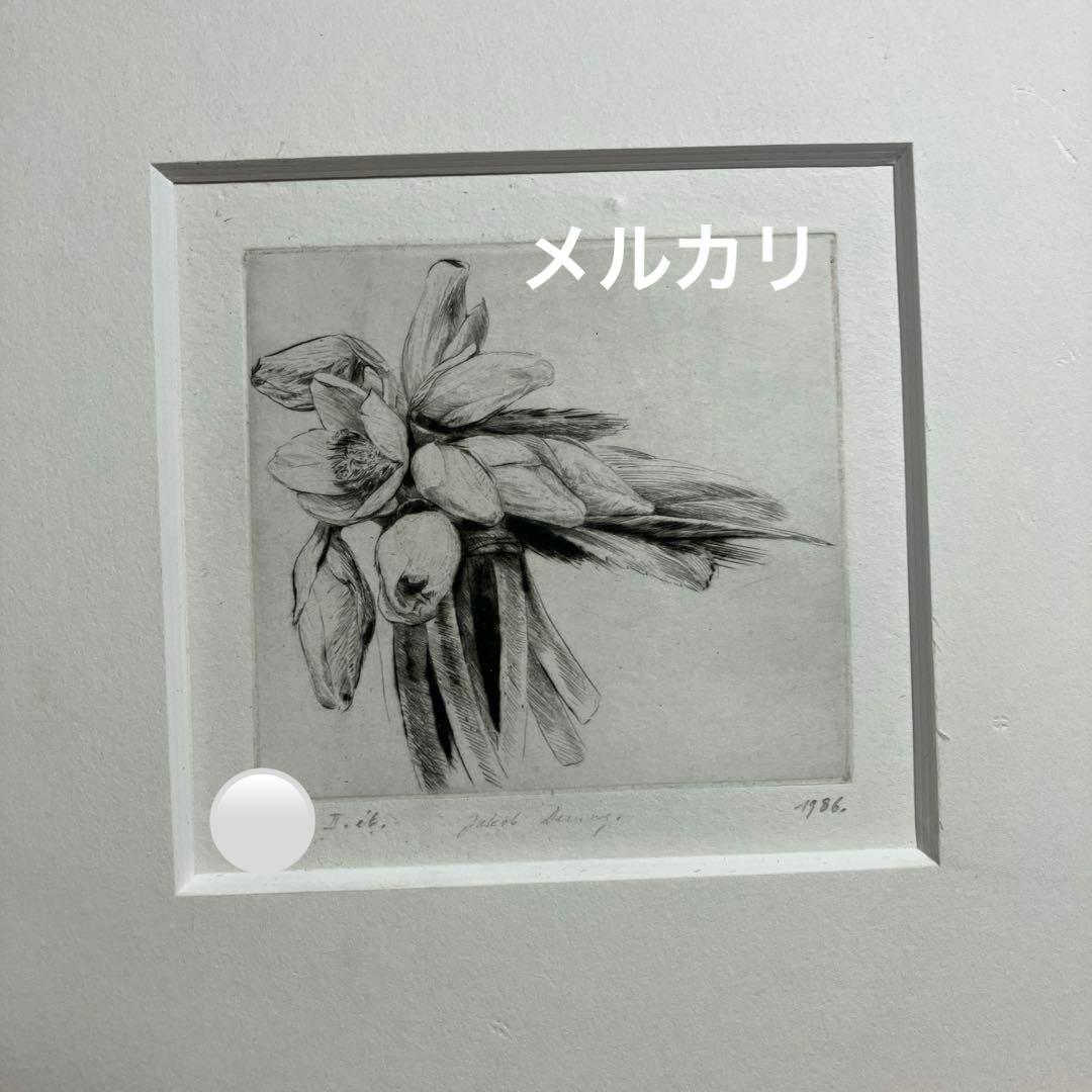 Jakob Demusダイヤモンドドライポイント技法エッチング　ボタニカル画②