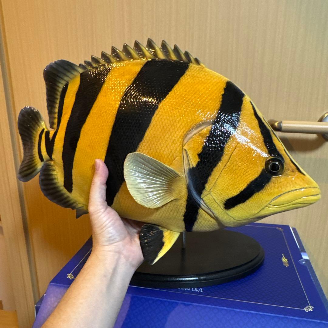 ダトニオ フィギュア48cm オブジェ