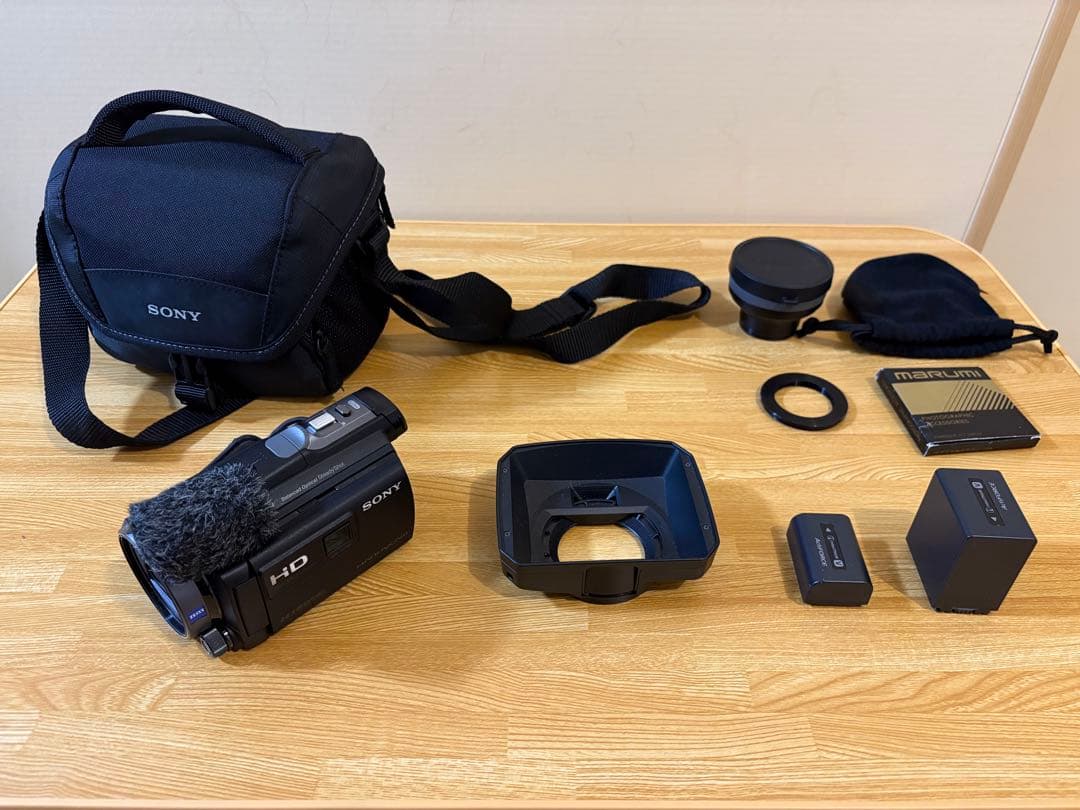 ビデオカメラ SONY HDR-PJ790V