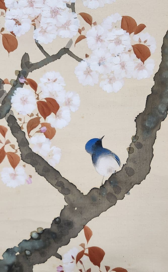 【桜花小禽図】山田耕雲 2688 サクラに鳥 春掛け 花見 掛け軸 肉筆 共箱