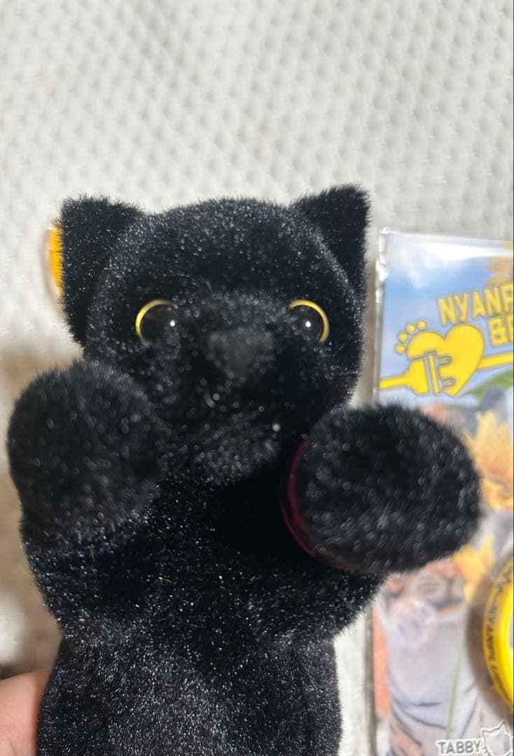 SOPHIA Kuro たっちぃZOOにゃんこmini リストバンドミニひまわり