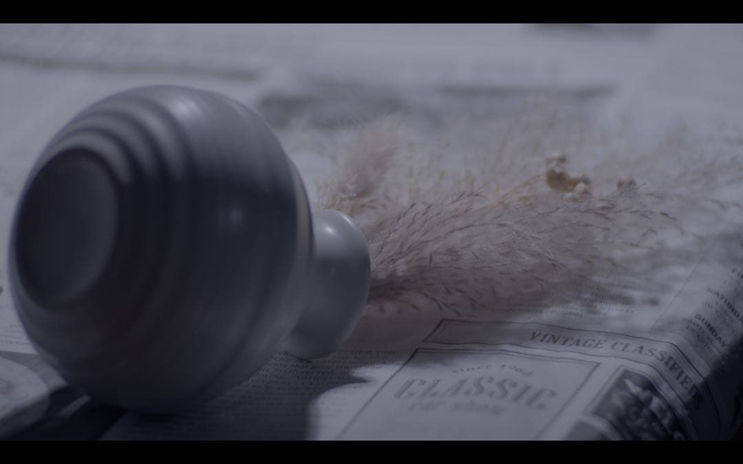 作例有20枚絞り羽根Tair11 133mm f2.8 m42マウント