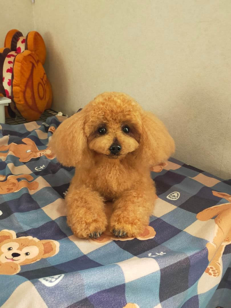 カズオーダー♡実物大