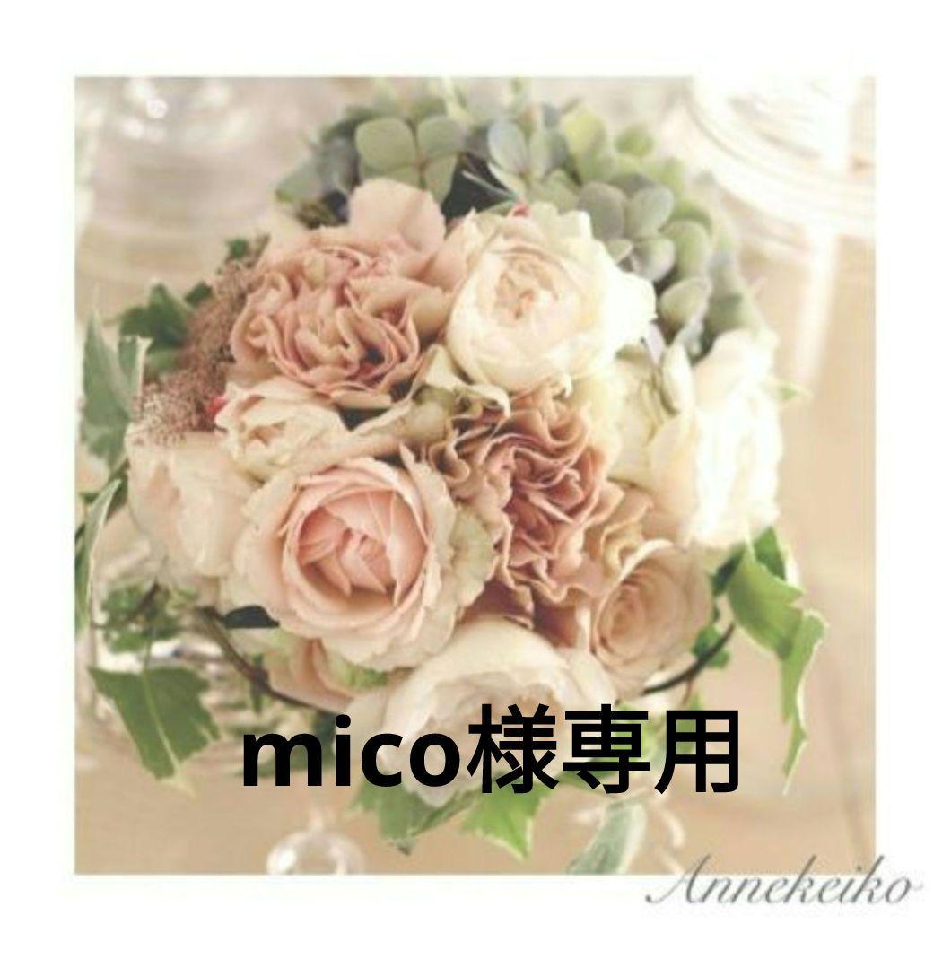 その他 mico