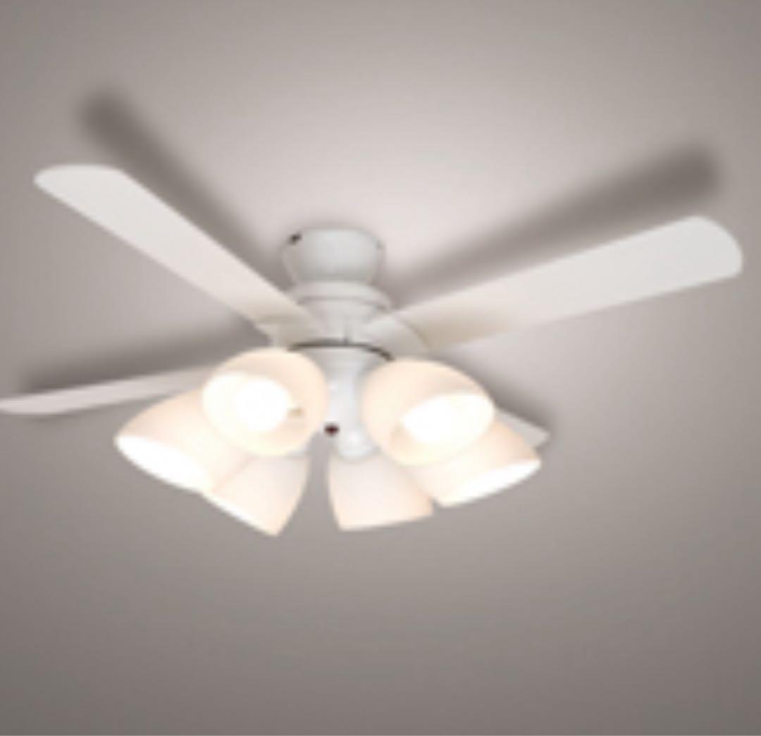 シーリングファン XZF-156113RL ガラスグローブ　5個　& リモコン