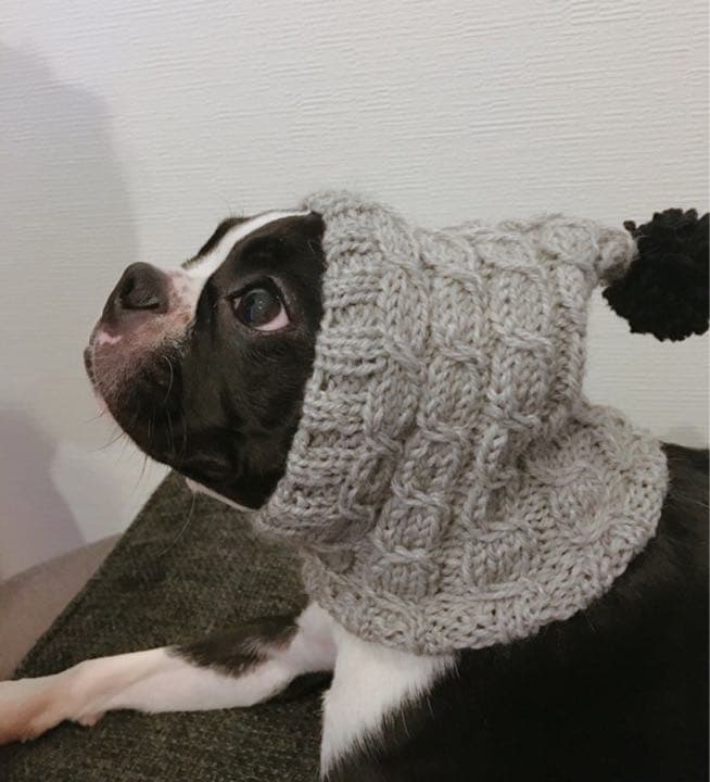 大きめサイズ 大好評♪ 手編み■ 犬 スヌード ■ ボストンテリア ニット帽