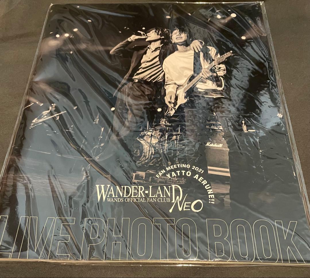 最終値下げWANDS５期