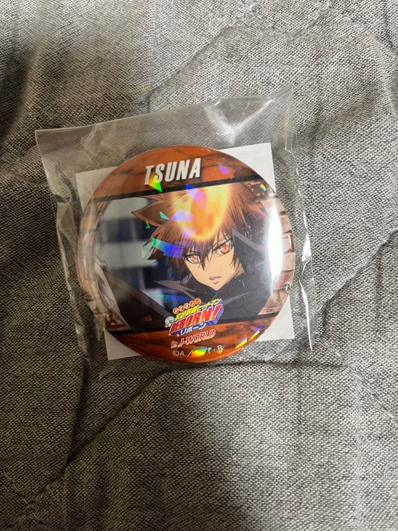 家庭教師ヒットマンREBORN J-WORLD 缶バッジ 沢田綱吉　未開封