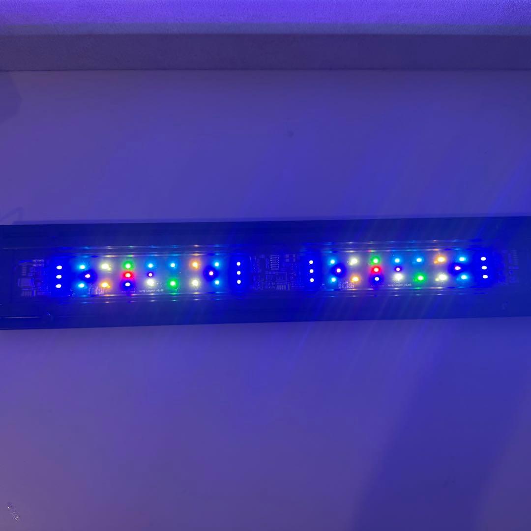 グラッシーウイング２　マリン　60㎝