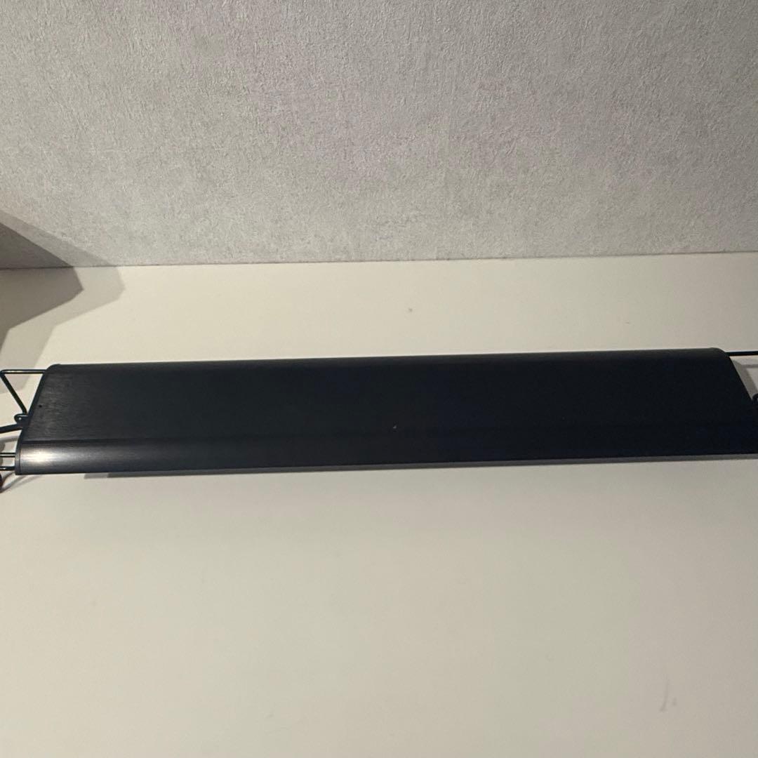 グラッシーウイング２　マリン　60㎝