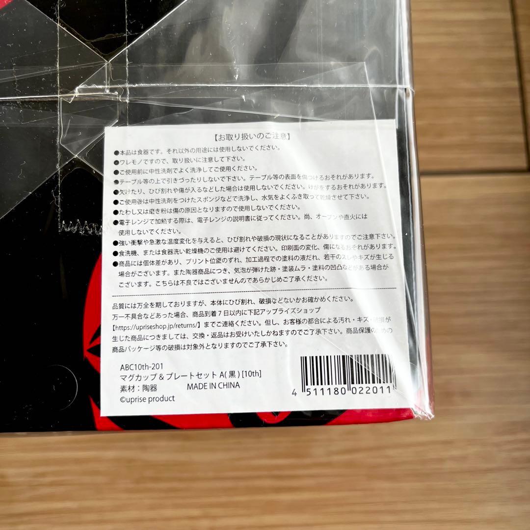 【Acid Black Cherry】10周年記念☆マグ＆プレート 黒 2個