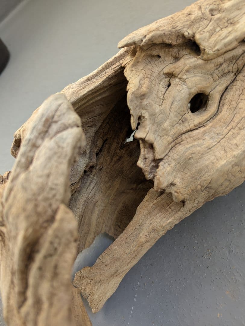 流木 約50cm 自然な形状　ビーチコーミング　アート素材　爬虫類　テラリウム