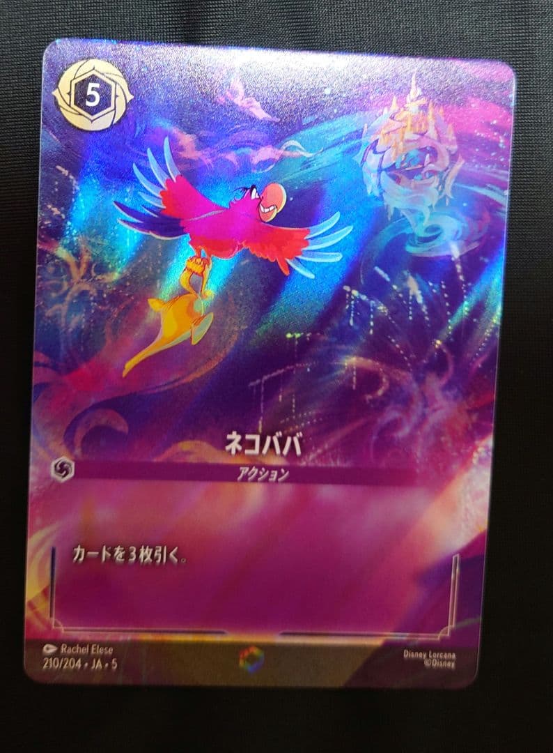 h*n様 ディズニーロルカナ ネコババ エンチャンテッド