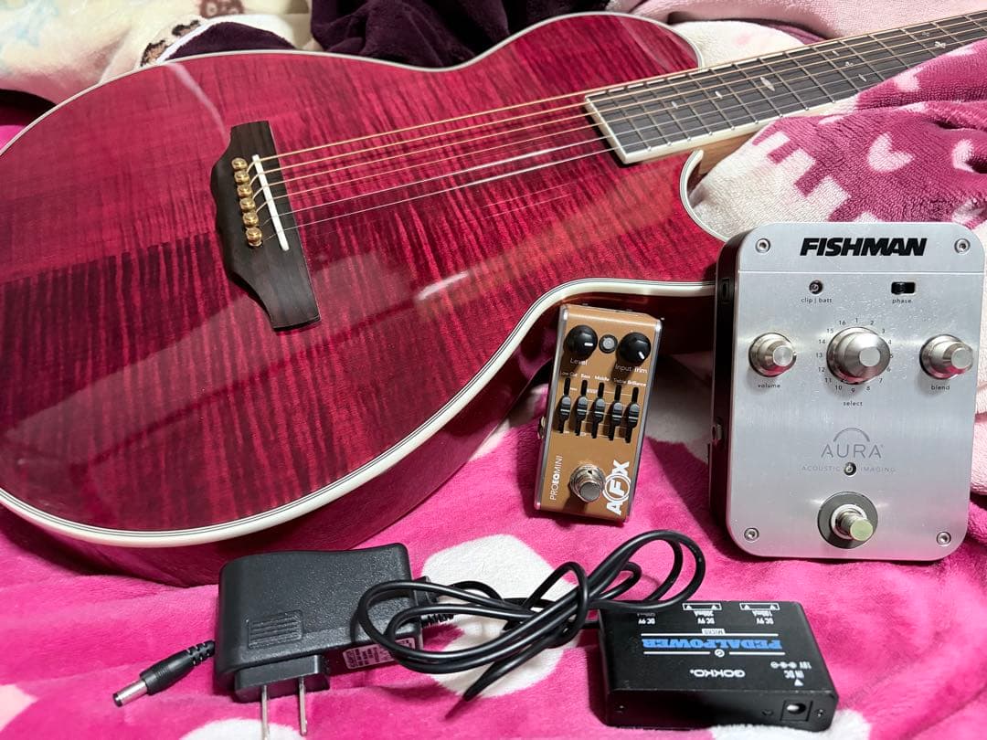 ARIA / APE-100 FISHMAN ProAfxEQ2&AURAセット