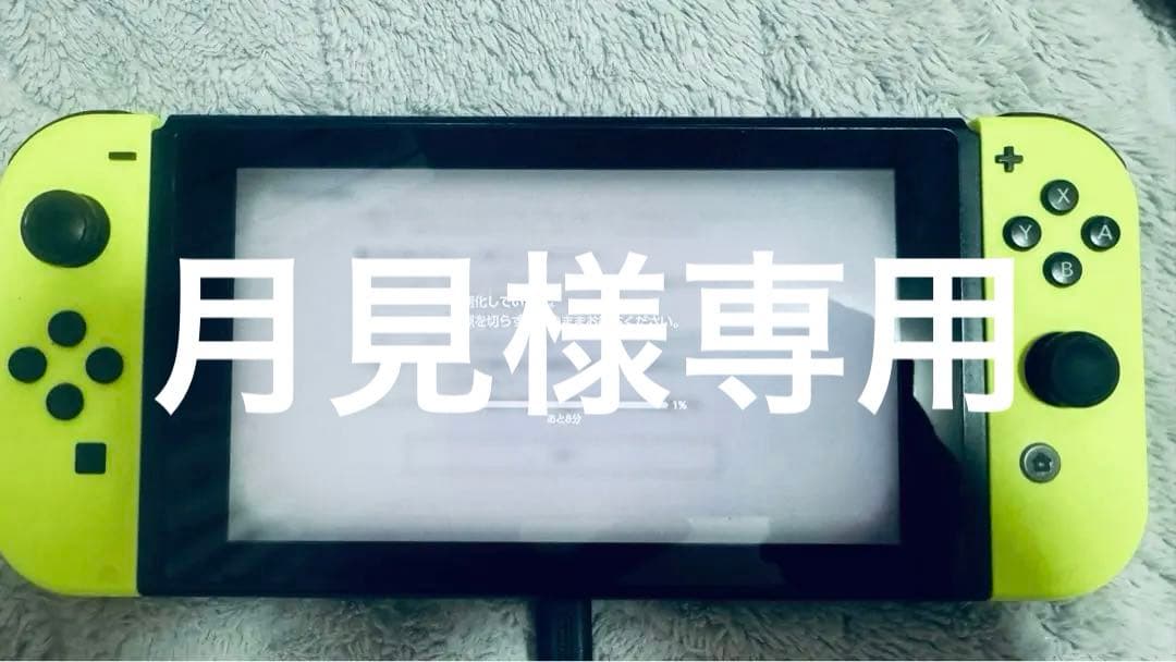 Switch 本体とJoy-Conのみ