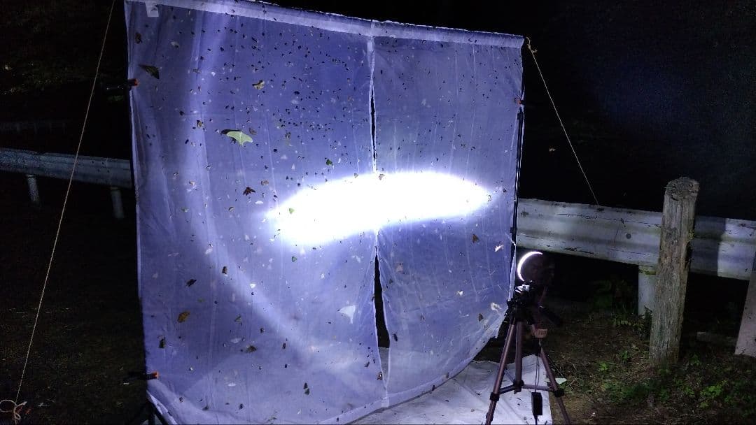 HIDライトトラップ サーチライトタイプ55W 紫外線放出加工済み スタンド無し