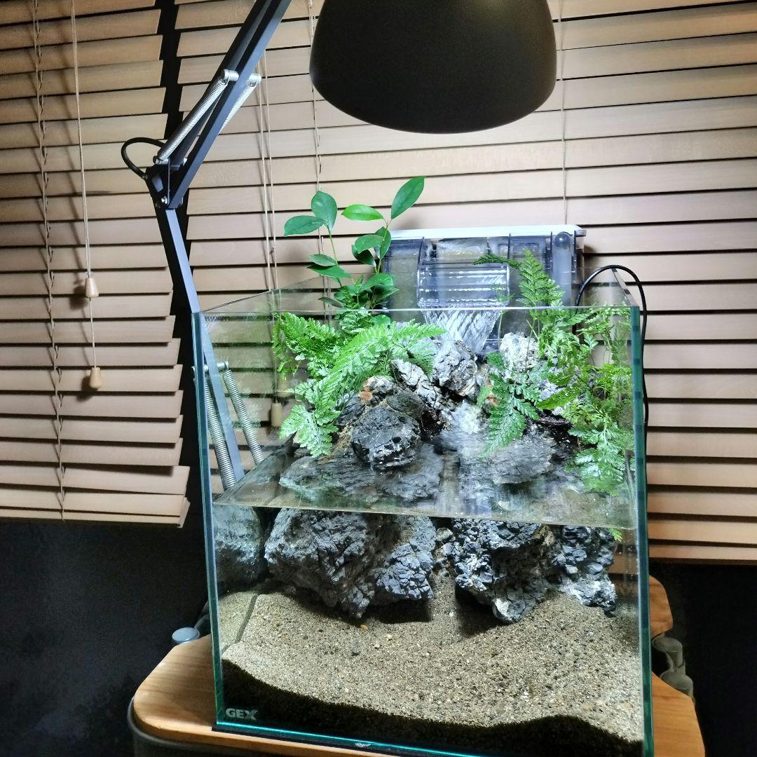 【アクアテラリウム完成品】滝のあるテラリウム パルダリウム アクアリウム