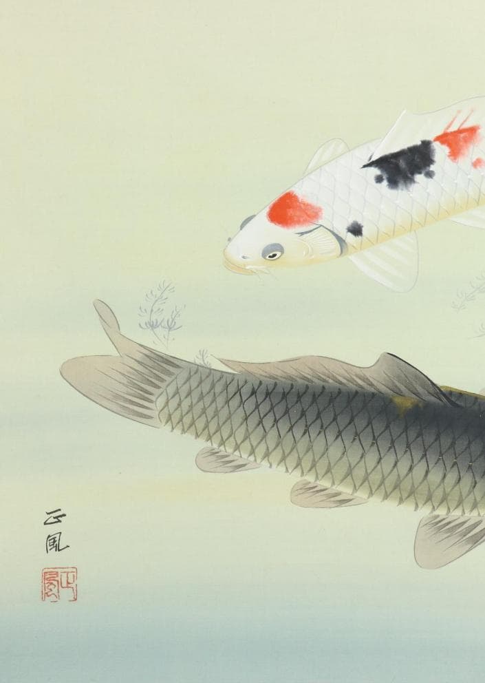 【真作】掛軸 八木正風『錦鯉 遊鯉』日本画 絹本 肉筆 共箱付 掛け軸 e574