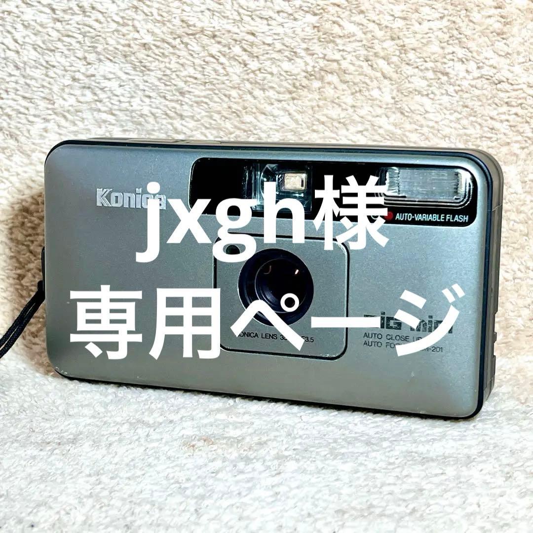 Konica BiG mini BM-201 コンパクトフィルムカメラ