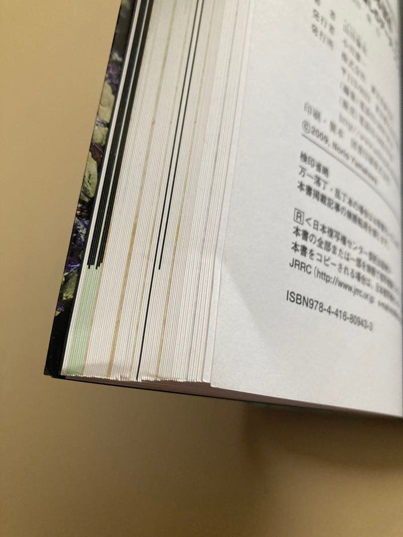 蛍光鉱物&光る宝石ビジュアルガイド 光る石を楽しむデータ・ブック 山川倫央