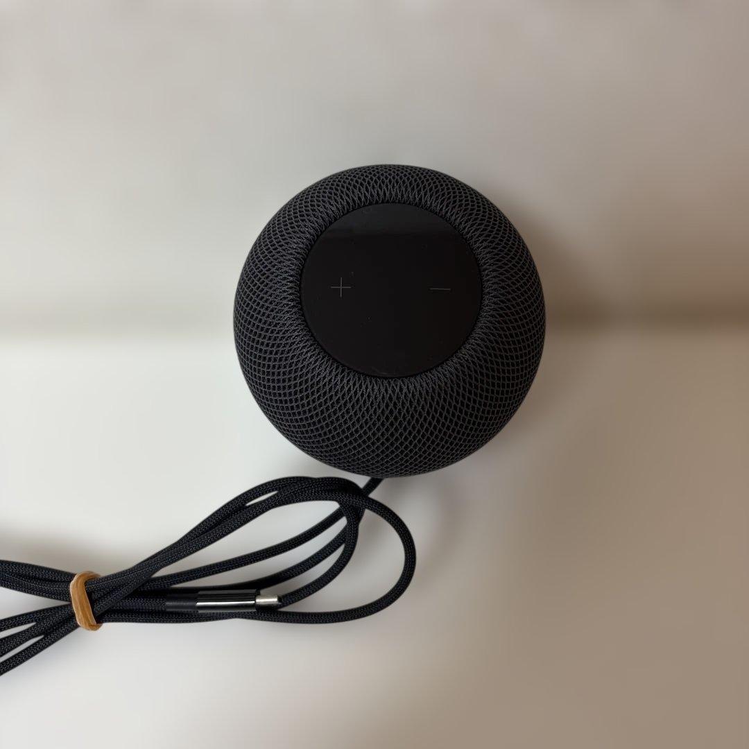 ⭐️Apple Pod mini スペースグレイ⭐️