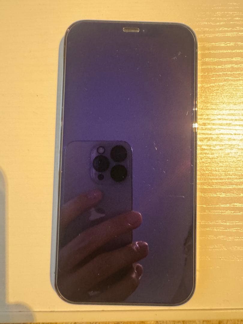 Apple iPhone 12Pro 256GB SIMロック解除済