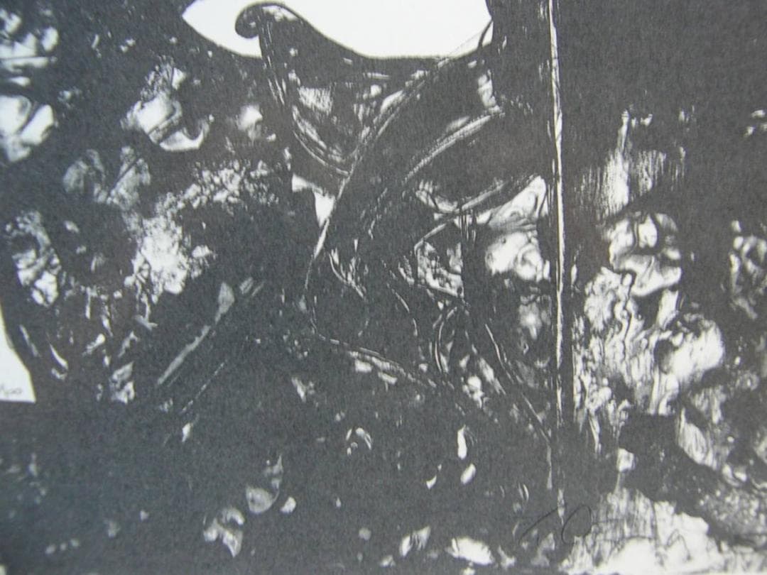 天野　喜孝、月影の騎士、厳選、希少画集画、美麗！人気作品、新品高級額 額装付