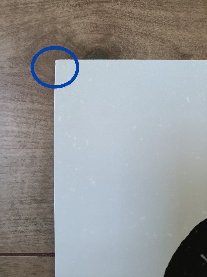 PSTR studio アートポスター 50×70cm Black Cat