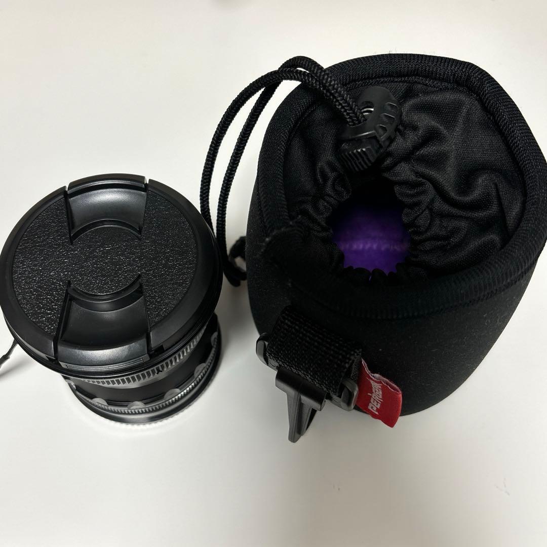 SONY Eマウント広角レンズ