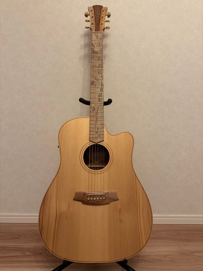 【Cole Clark】アコースティックギター FL2EC-BB