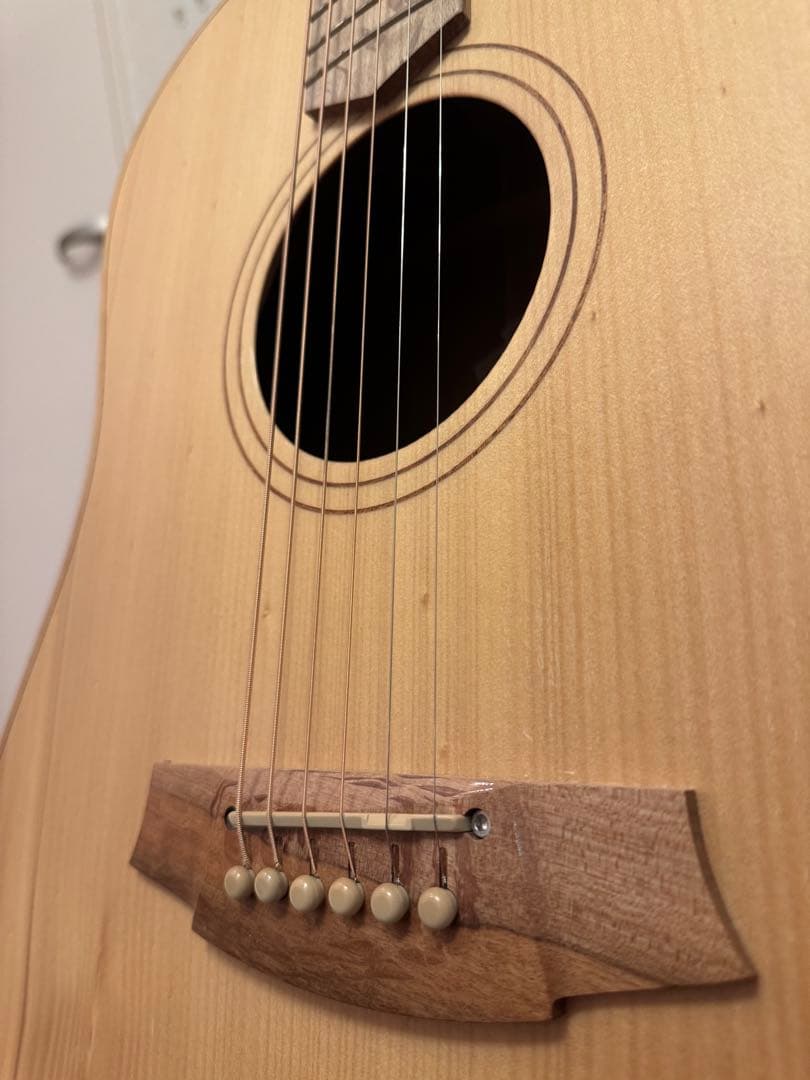 【Cole Clark】アコースティックギター FL2EC-BB