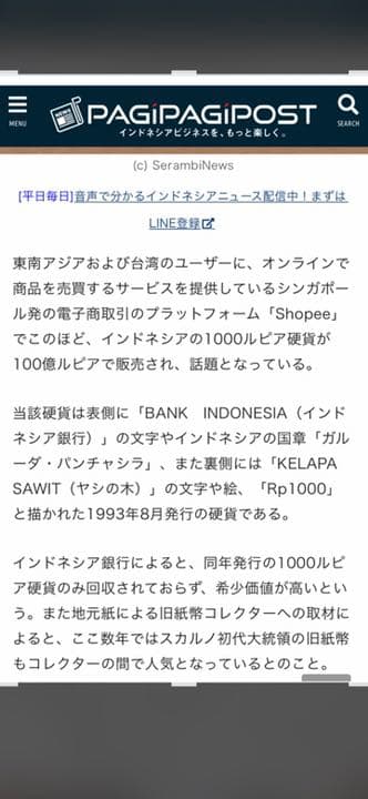 インドネシア　1993年製造　大変希少価値の高い