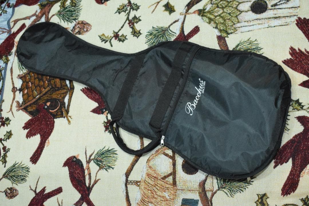 ギター Danelectro Hodad Purple